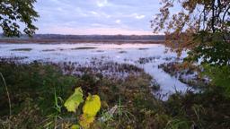 affut-flottant_20231018_070911.jpg